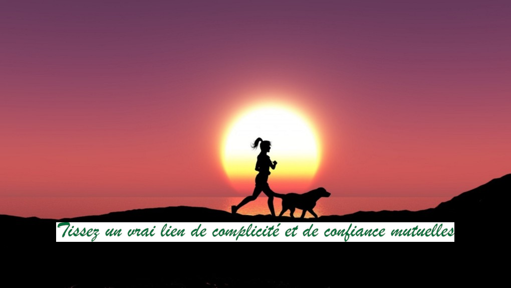 éducation canine à Digne les bains