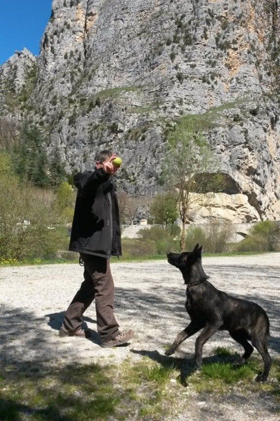 Complicité et compréhension du chien
