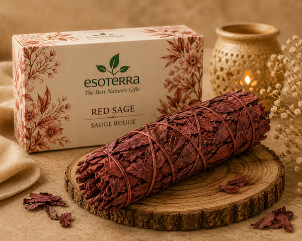 🐉 Sauge Sang de Dragon – Purification & Protection