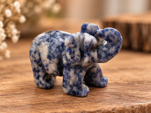 Sodalite, éléphant