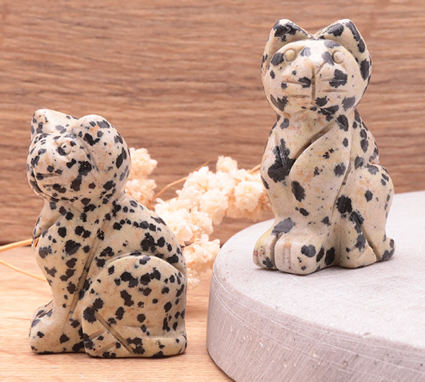 Chat Jaspe Dalmatien