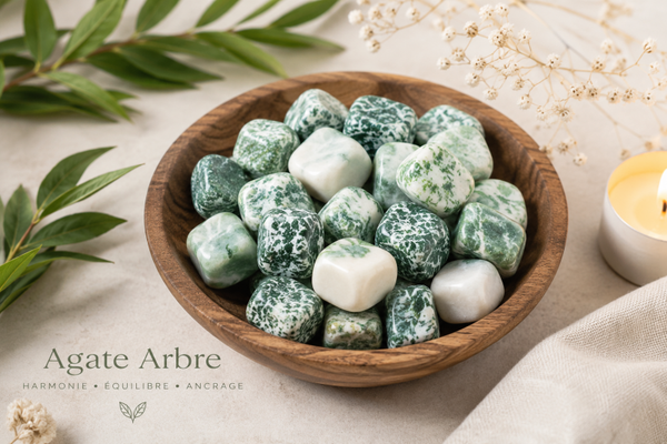 💎 Agate arbre – L’Enracinement de l’Âme