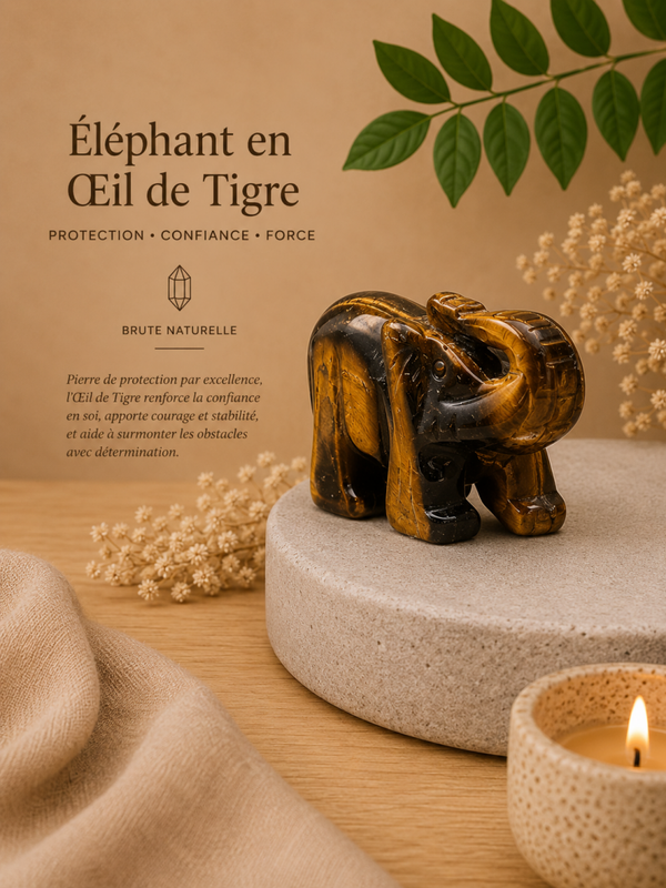 Oeil de tigre, éléphant