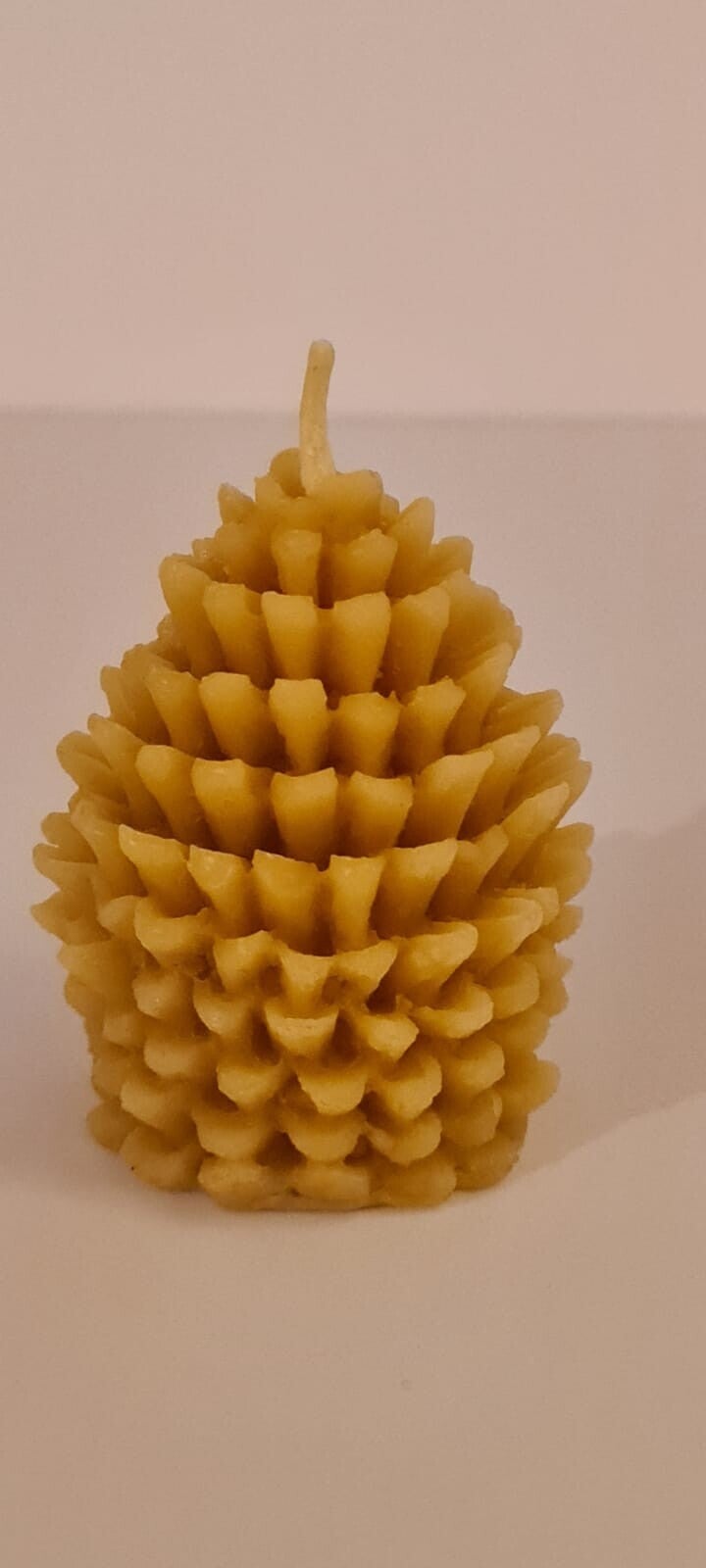 Fir cone