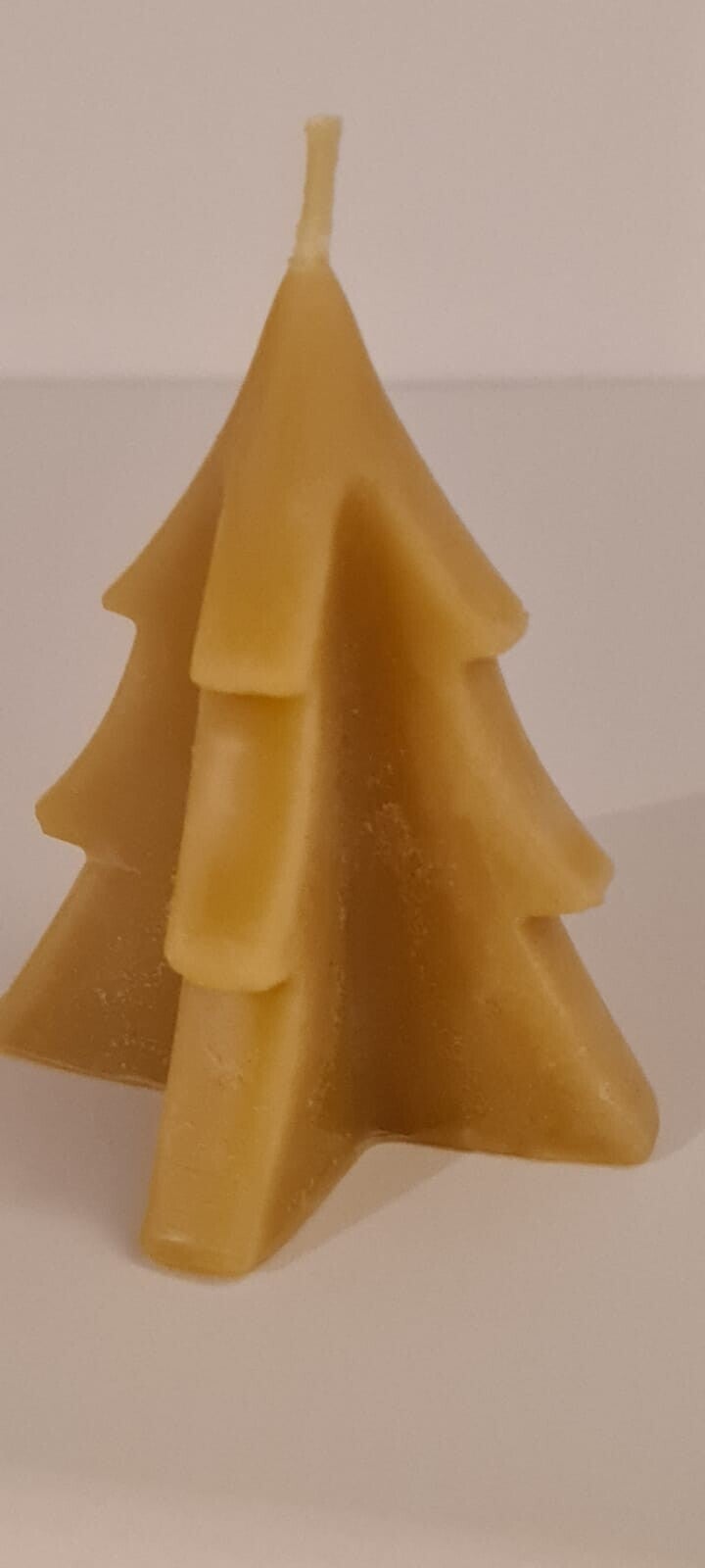 Large block tree. Small available @ £4.00