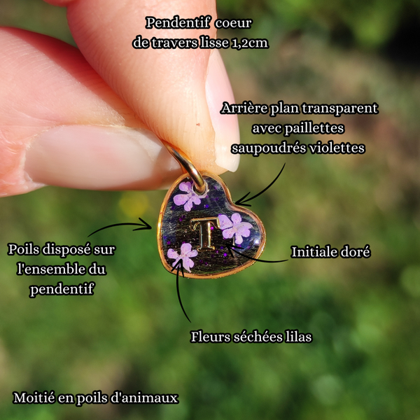 L'essentiel