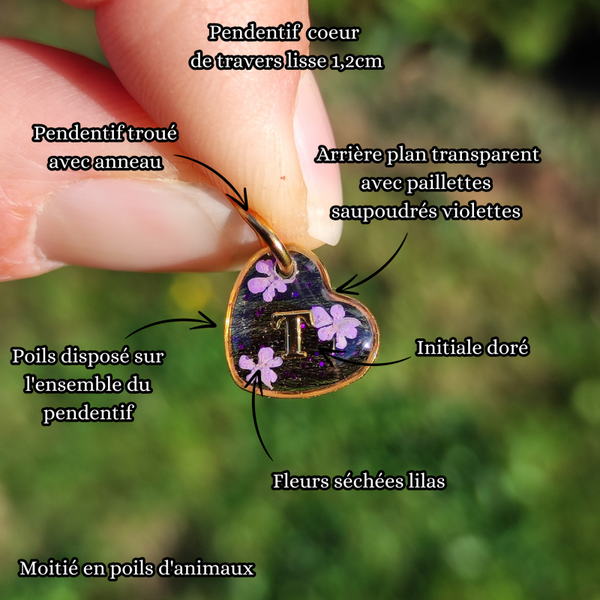 L'essentiel