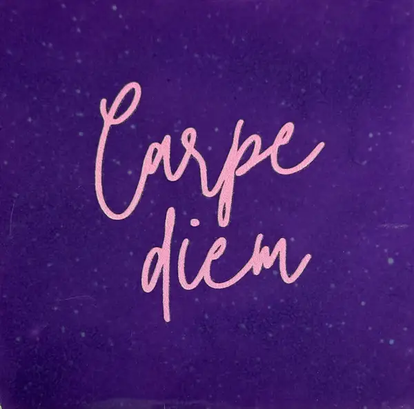 Tegeltje 'Carpe Diem' -  lila/fuchsia