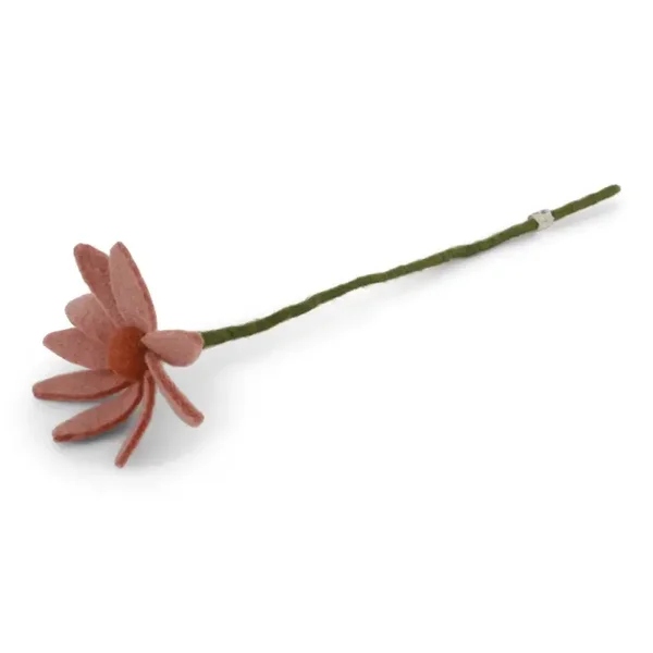 Cosmosbloem (perzik)