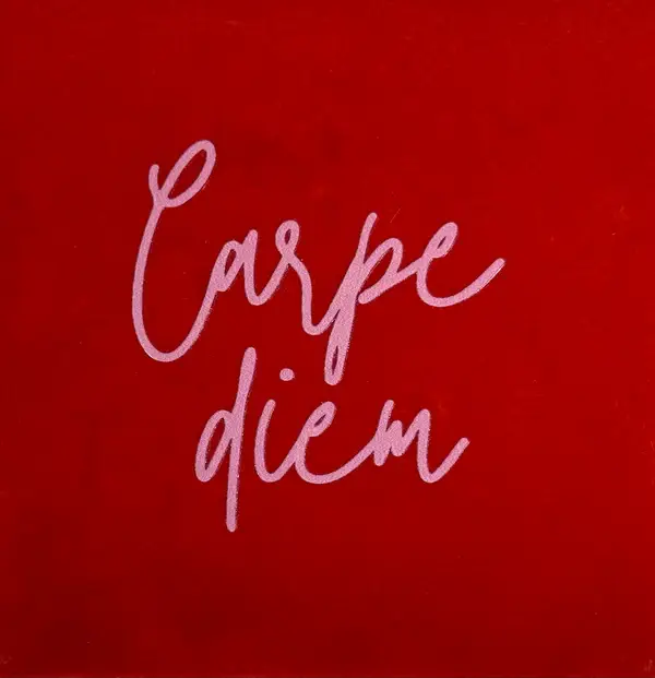 Tegeltje 'Carpe Diem' -  rood/warmroze
