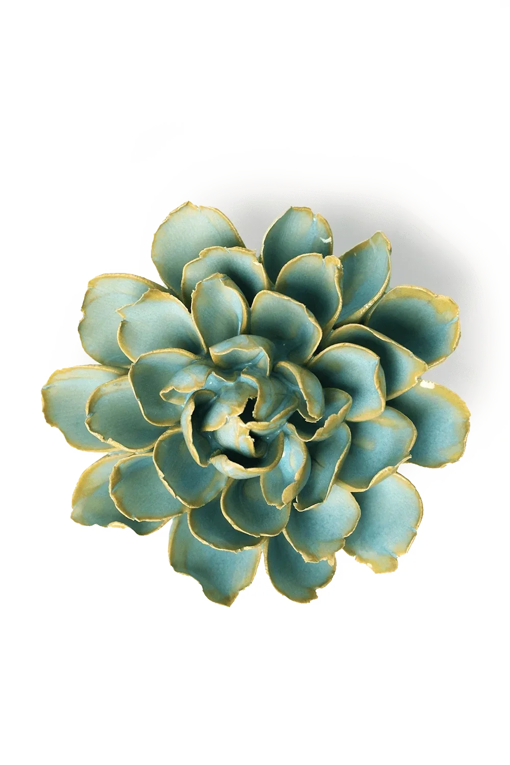 Muurbloem - Frans Afrikaantje - Blauwgroen - Keramiek