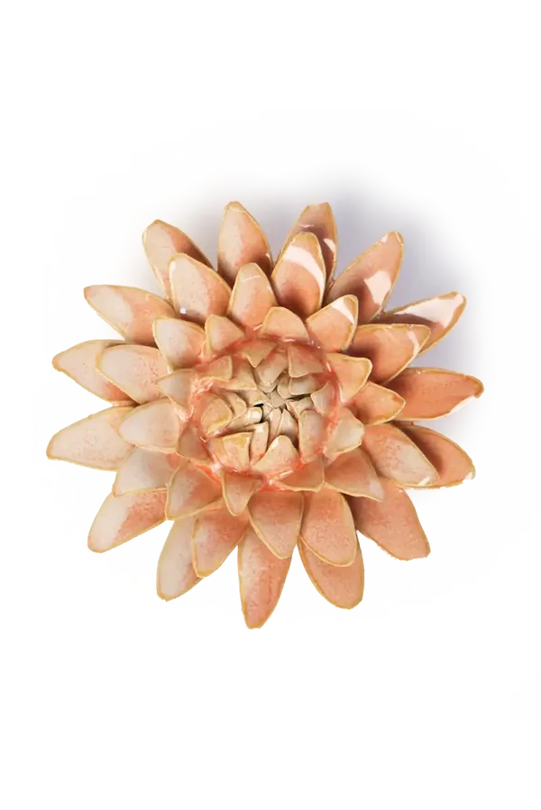 Muurbloem - Strobloem - Zalmroze - Keramiek