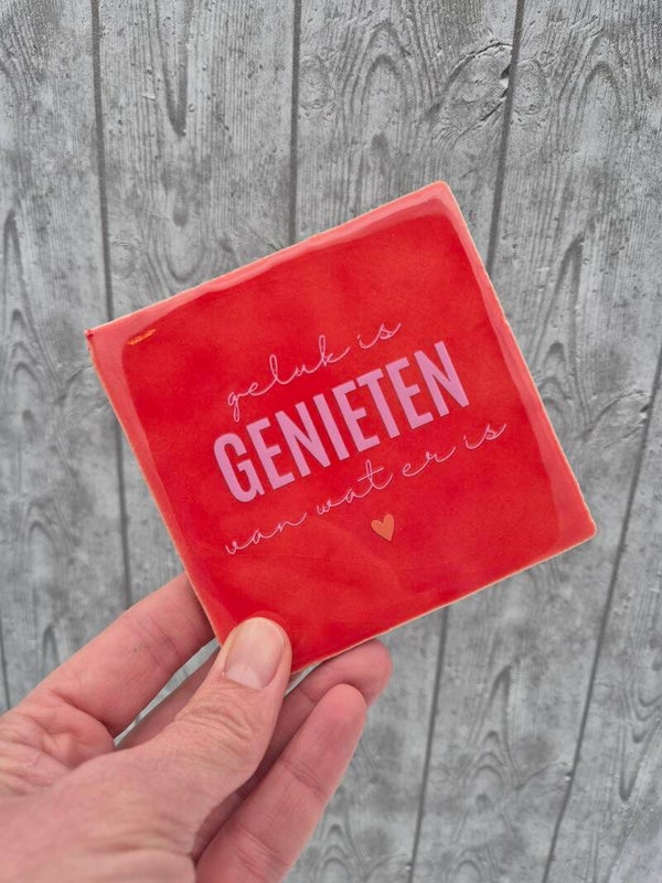 Tegeltje 'Geluk is genieten van wat er is' - rood/roze