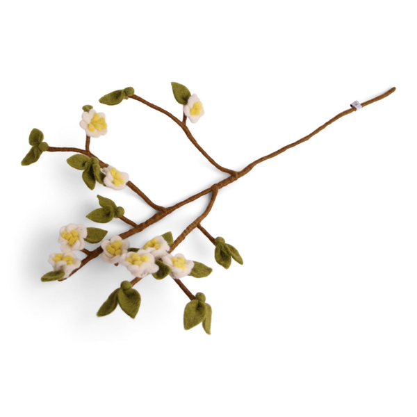 Appelbloesem