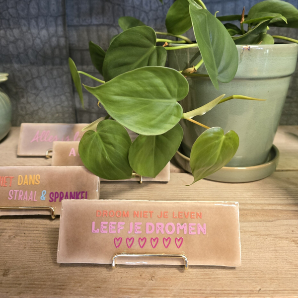 Tegeltje Droom niet je leven Leef je dromen - Taupe/roze/oranje