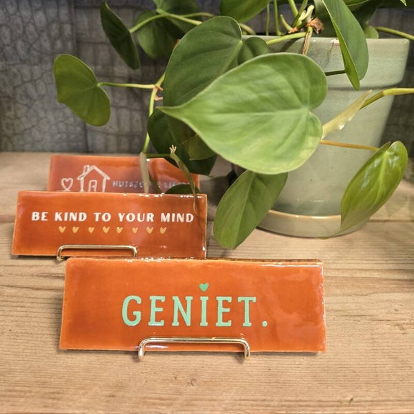 Tegeltje Geniet - Cognac/mint