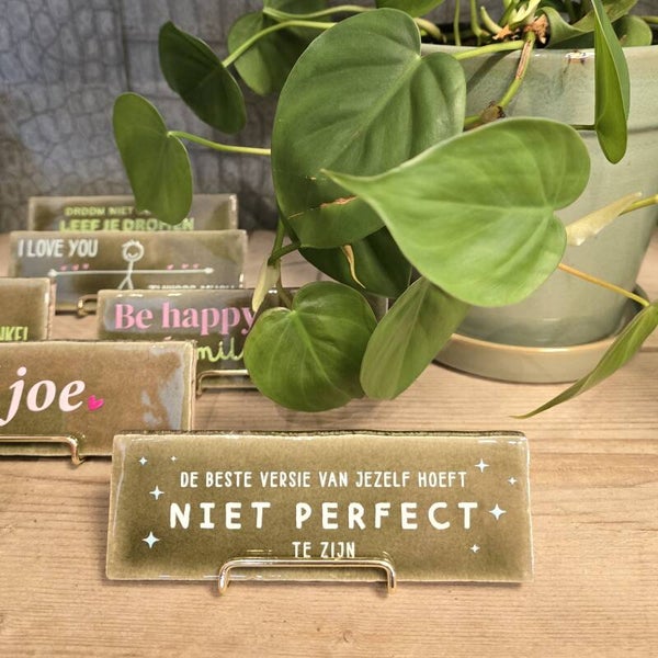 Tegeltje 'De beste versie van jezelf hoeft niet perfect te zijn,  - Groen/lichtgroen/lichtblauw