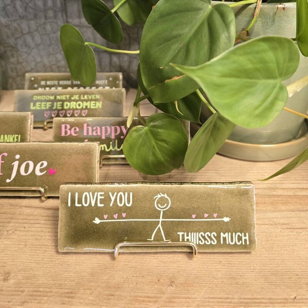 Tegeltje 'I love you thiiisss much' - Groen/roze