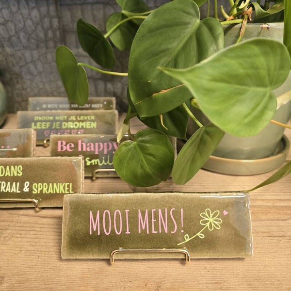 Tegeltje 'Mooi mens' - Groen/roze
