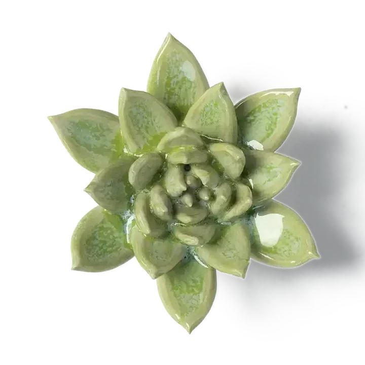 Keramieken Bloem - Vetplant - Groen