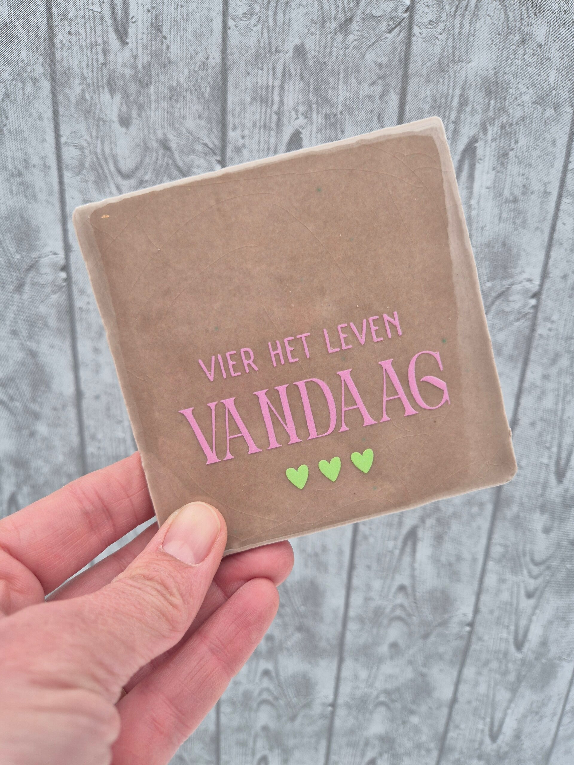 Tegeltje 'Vier het leven vandaag' - taupe/zachtroze