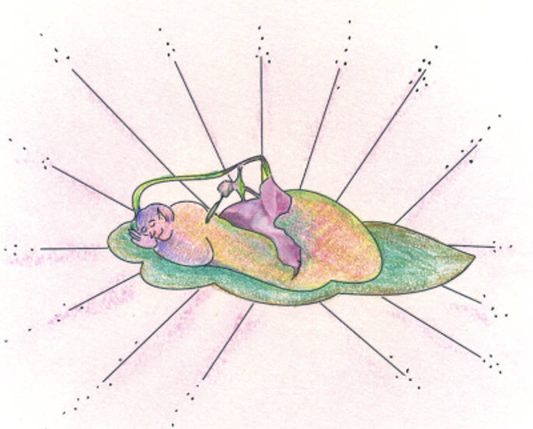 Reeks van 4 sessies op afstand