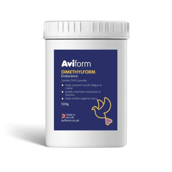 Aviform | DIMETHYLFORM DMG Endurance, Performance Supplement for Racing Pigeons