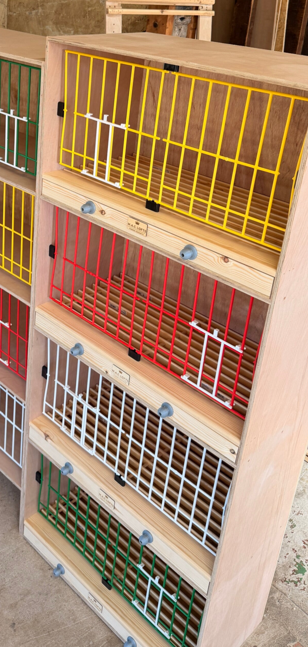 Fully Fitted Exclusive Premium Nest Boxes with Plastic Widowhood Nest Box Fronts