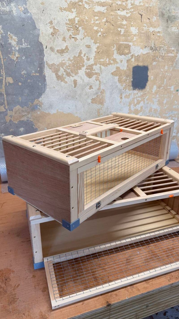 15–20 Bird Pigeon Training & Transport Basket | M.A.C. Lofts Exclusive