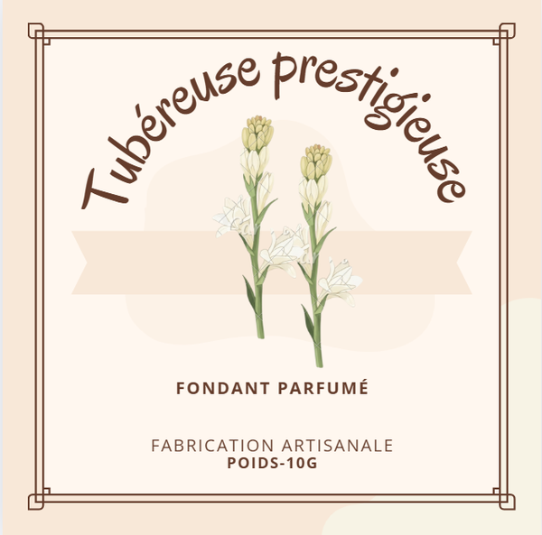 Tubéreuse prestigieuse