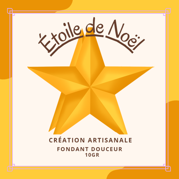 Étoile de Noël