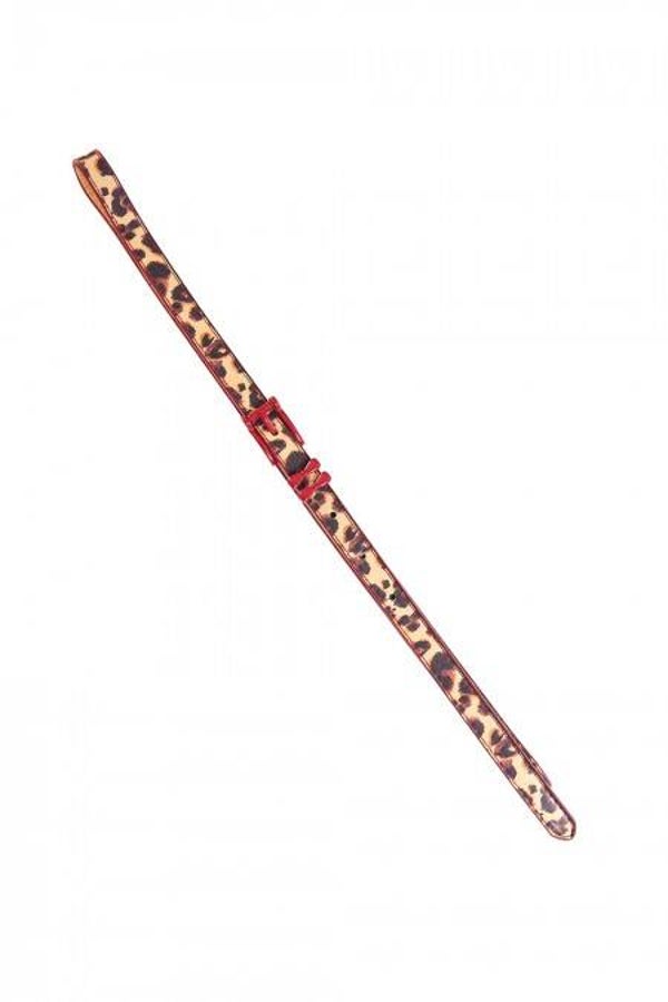 riem Leopard/rood maat M