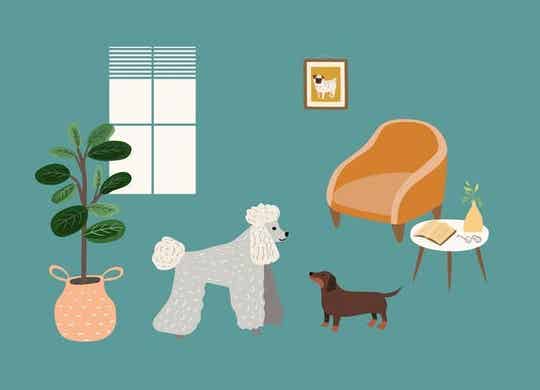 postkaartje Honden + envelop
