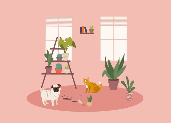 postkaartje Hond en kat + envelop