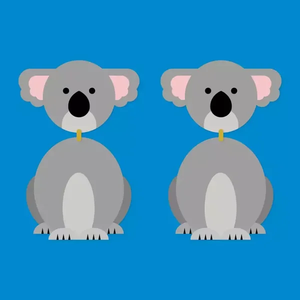 oorbellen Koala's (hang)
