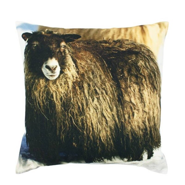 kussen IJslands schaap 50x50 cm