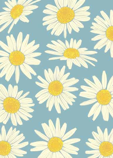 postkaartje Daisies + envelop