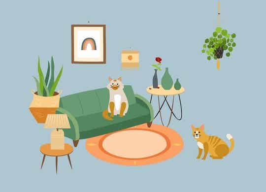 postkaartje Katten + envelop
