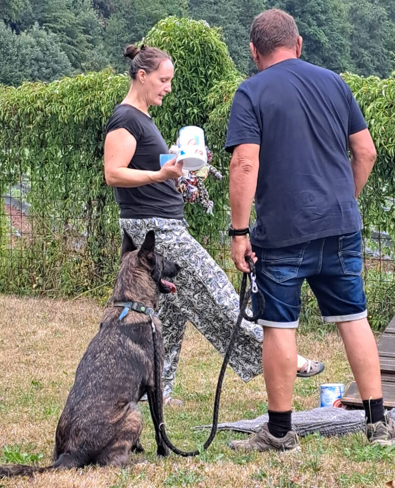 Praxisorientiertes Hundetraining