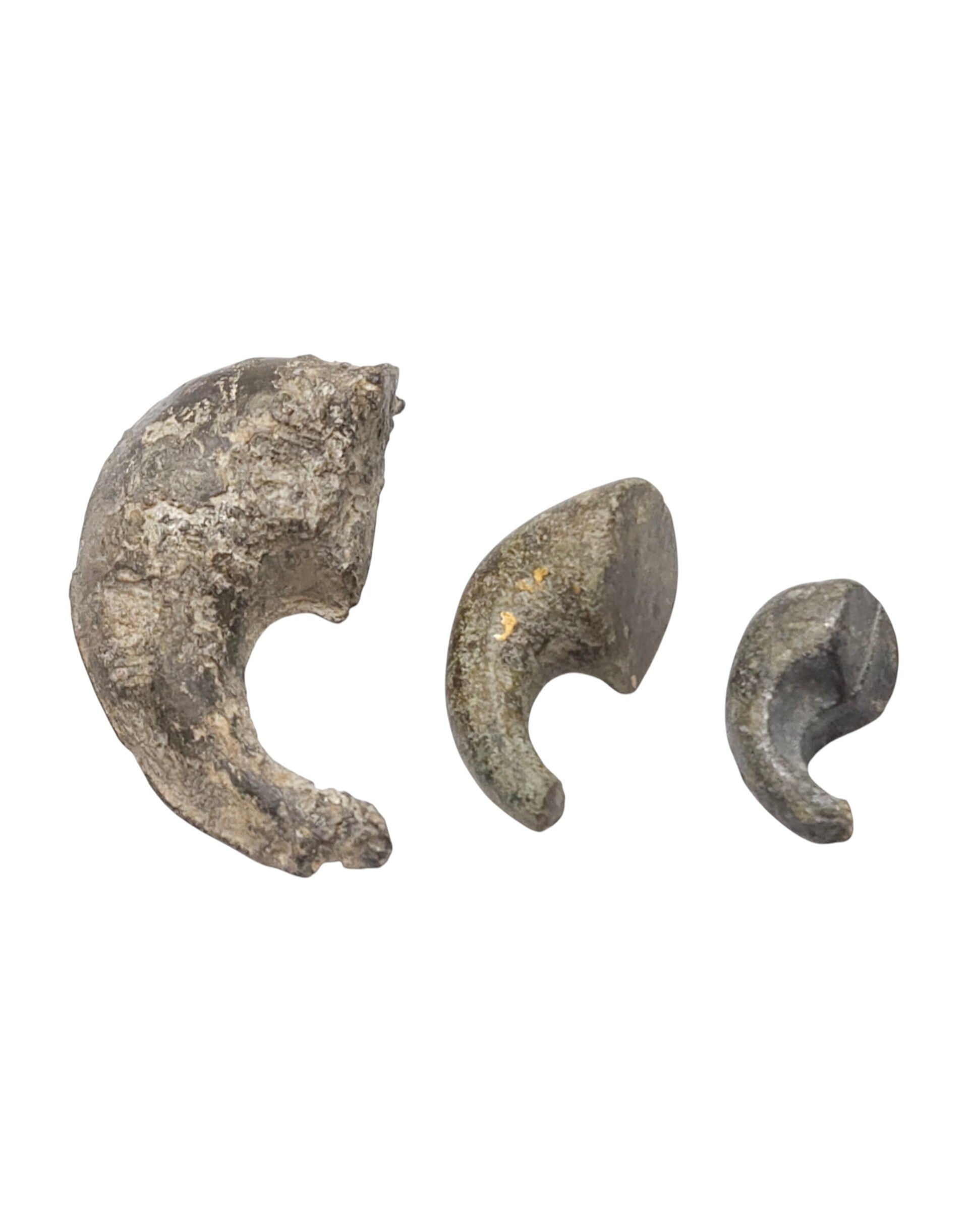 Rare Set of 3 Antique Javanese Tin "Tiger Claw" Barter Money (Kuku Macan) – c. 15th – 18th Century (Majapahit to Islamic Sultanate periods) Lot:  3840