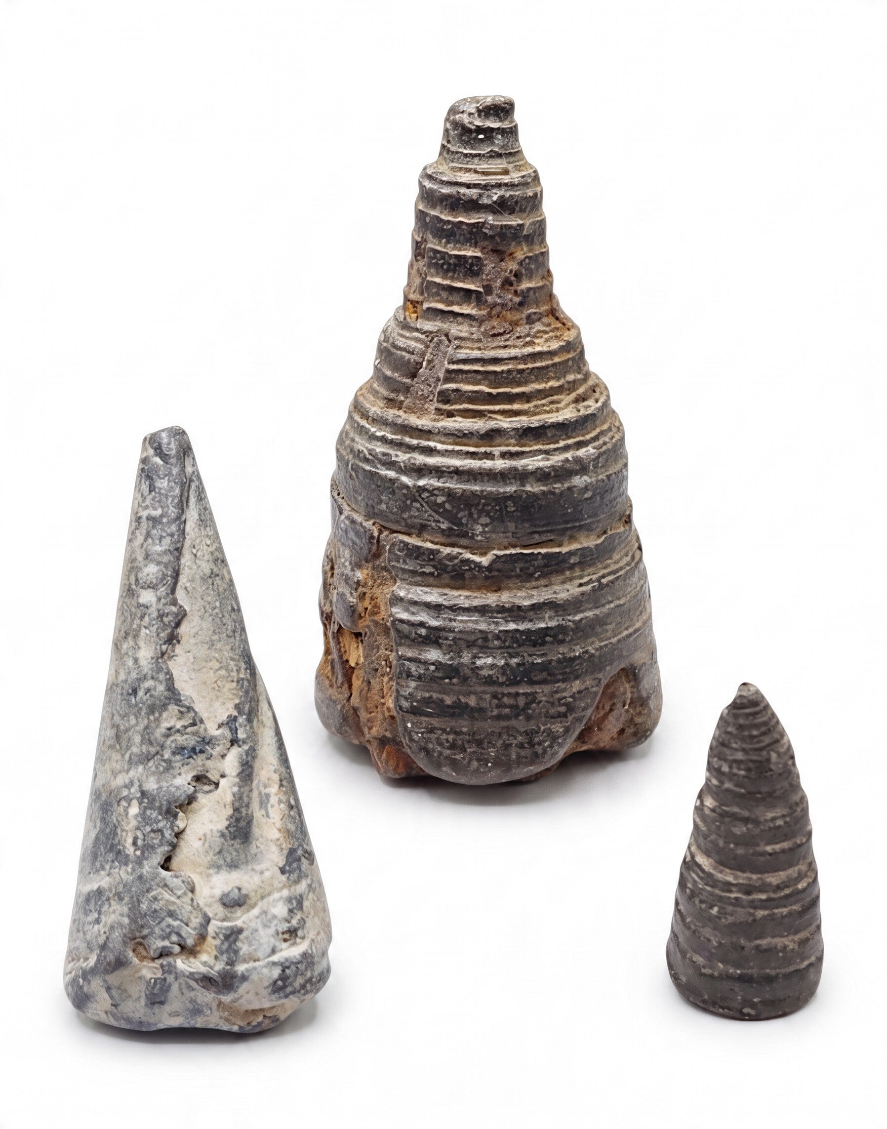 Malay Kingdom, Asia. Nasi Tumpang 15th/16th Century, conical Tin Ingots, Barter/Trade currency Lot:  3843