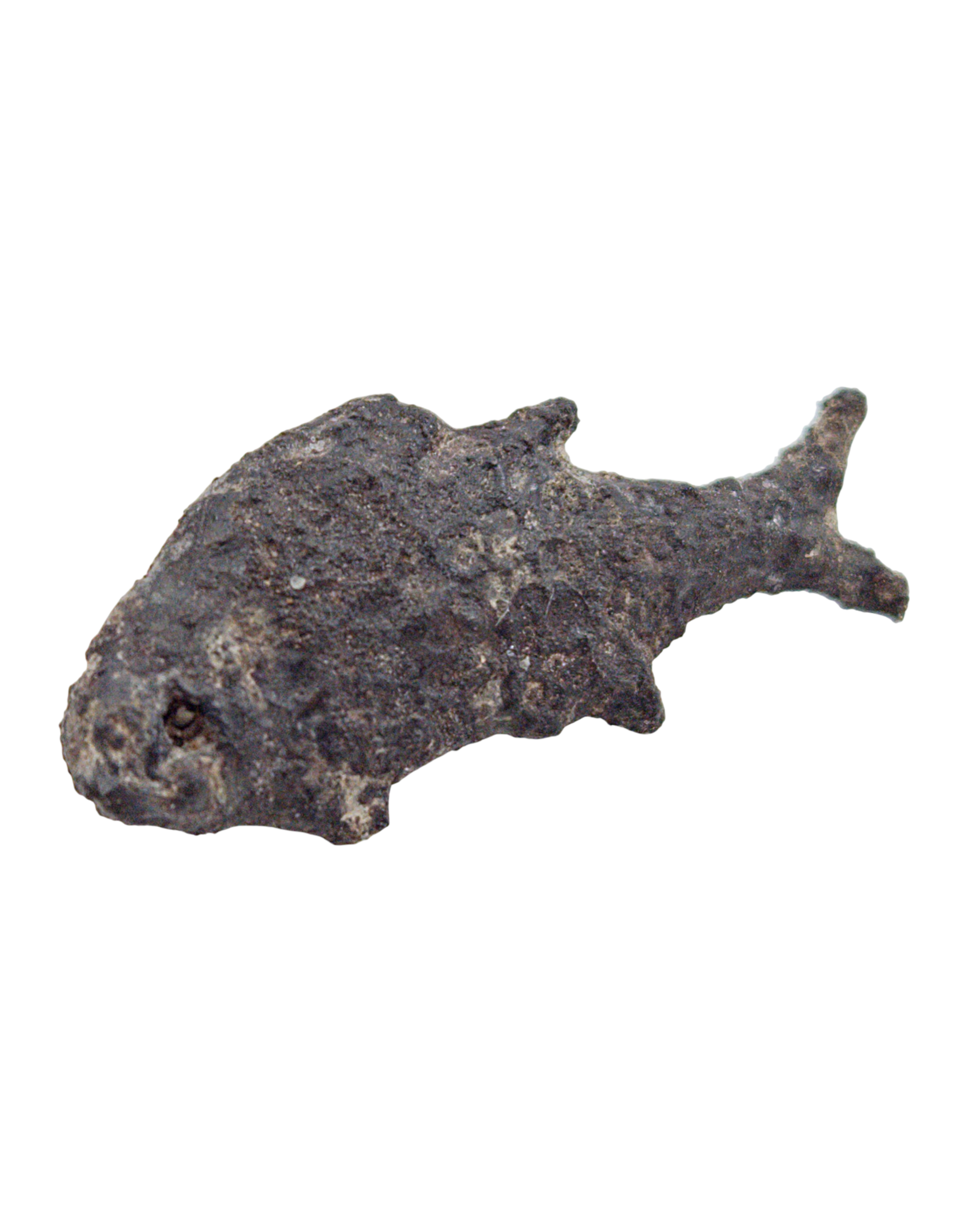 Malaysia, Sultanate of Perak, Fish Money  15-17 th Century, itemnumber: W5102