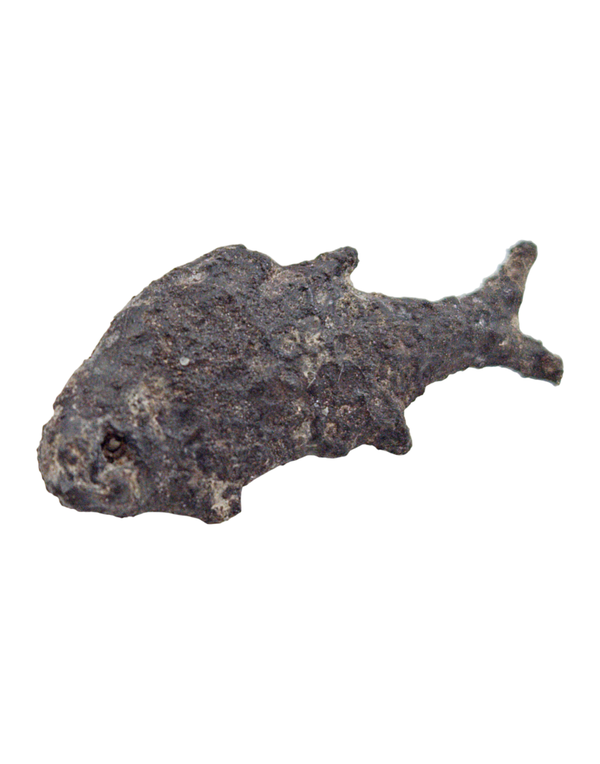 Malaysia, Sultanate of Perak, Fish Money  15-17 th Century, itemnumber: W5102