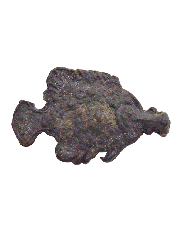 Malaysia, Sultanate of Perak, Fish Money  15-17 th Century, itemnumber: W5103