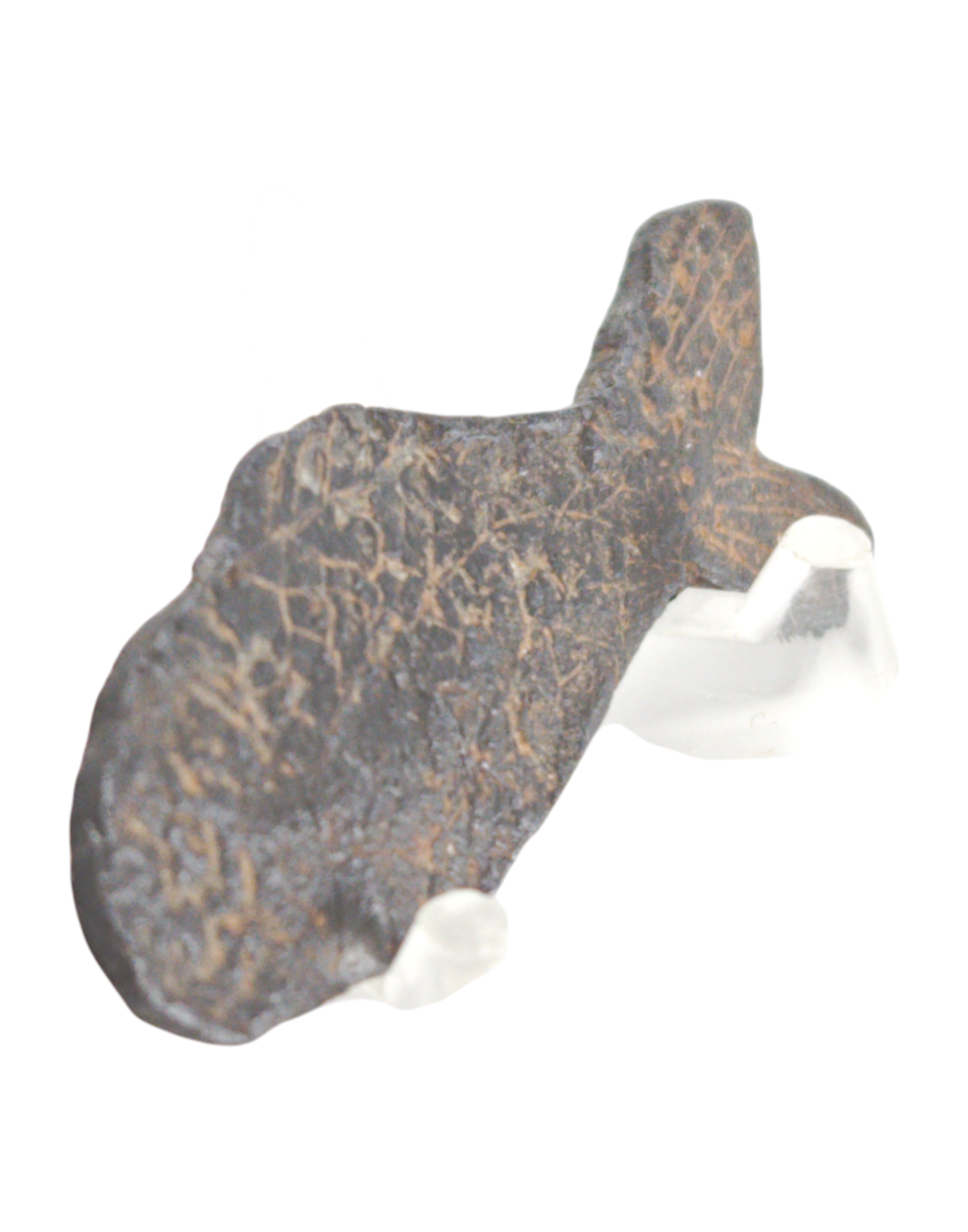 An elegant and detailed lead/tin Fish alloy artifact a Token of Prosperity from the Majapahit Empire, Java/Sumatra (13th - 16th Century)., itemnumber: W5149