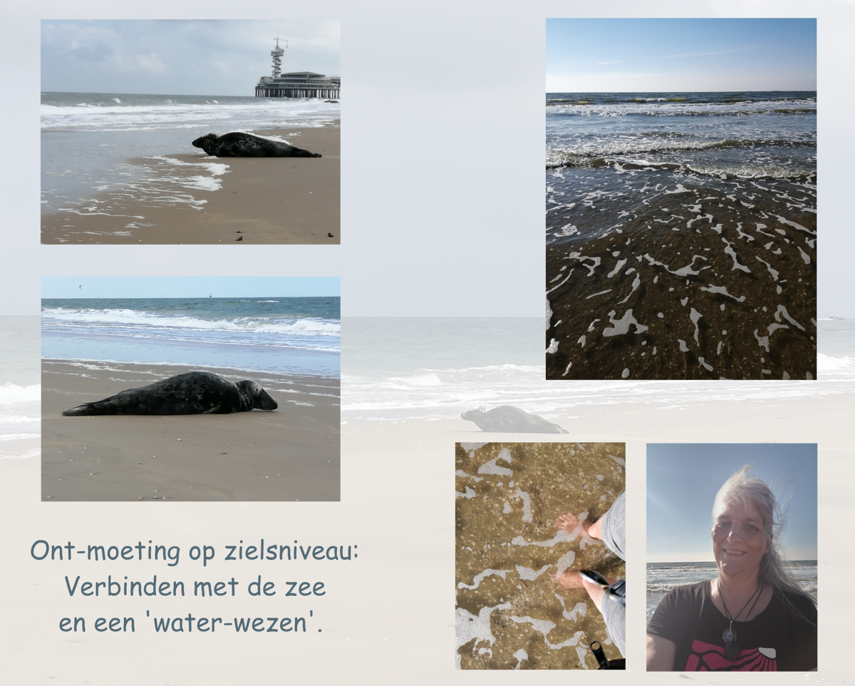 Ontmoeting bij de zee / Blogs / Inspiratie | Coachpraktijk Onyx