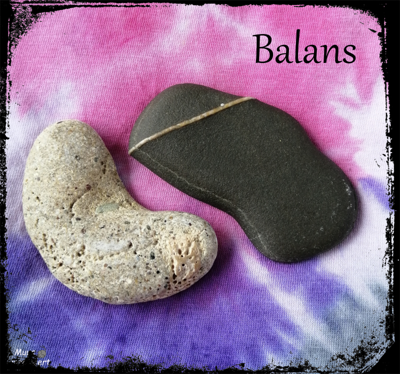 zwarte en witte steen