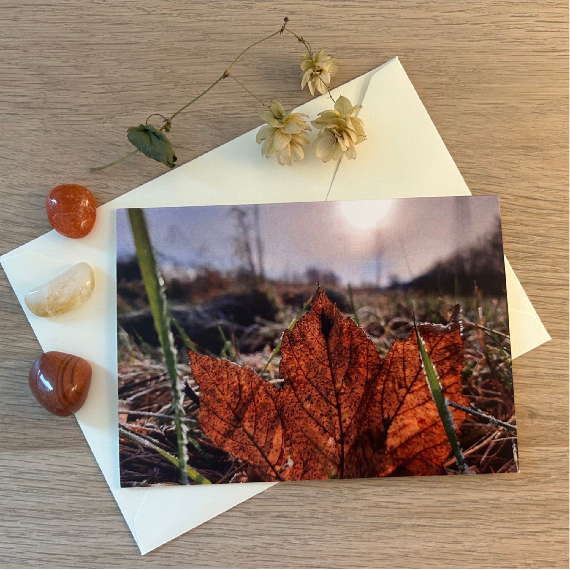 Winter-Blatt Postkarte