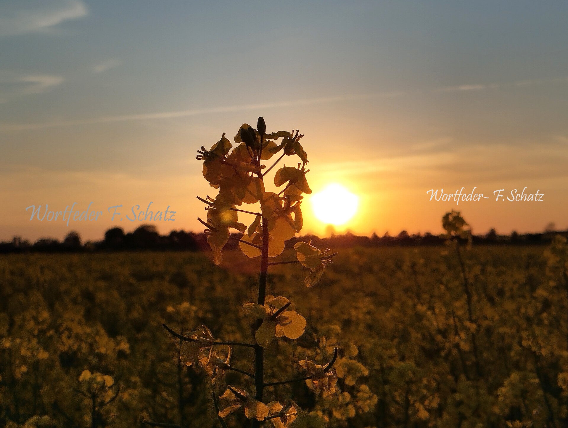 Goldene Stille