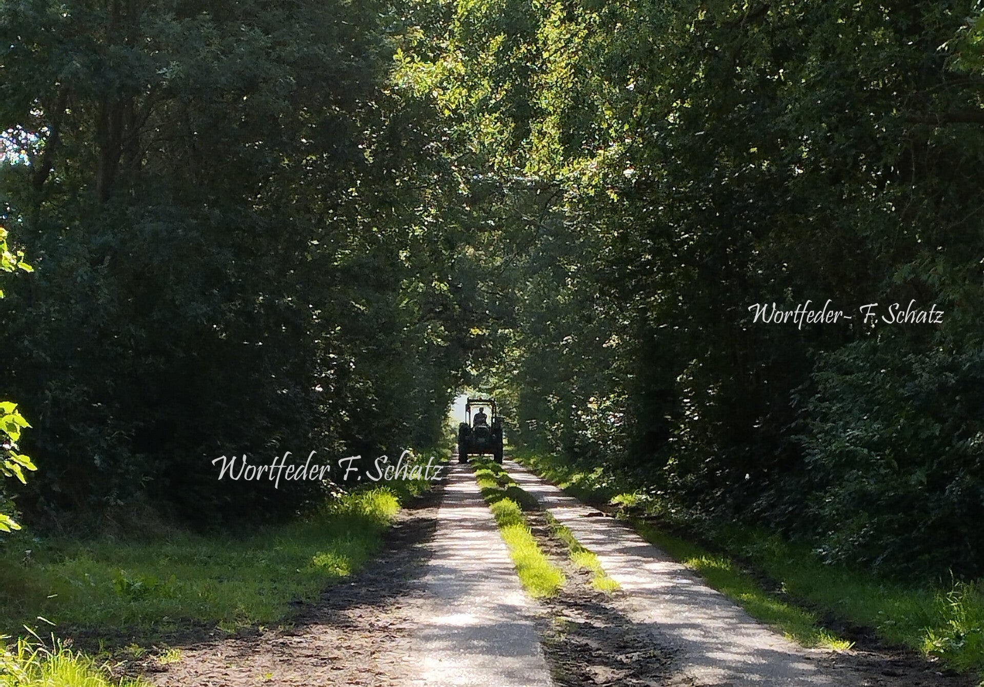 Trecker-Treffen